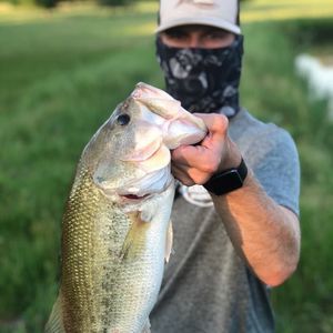 Meet your Posher, Aaron